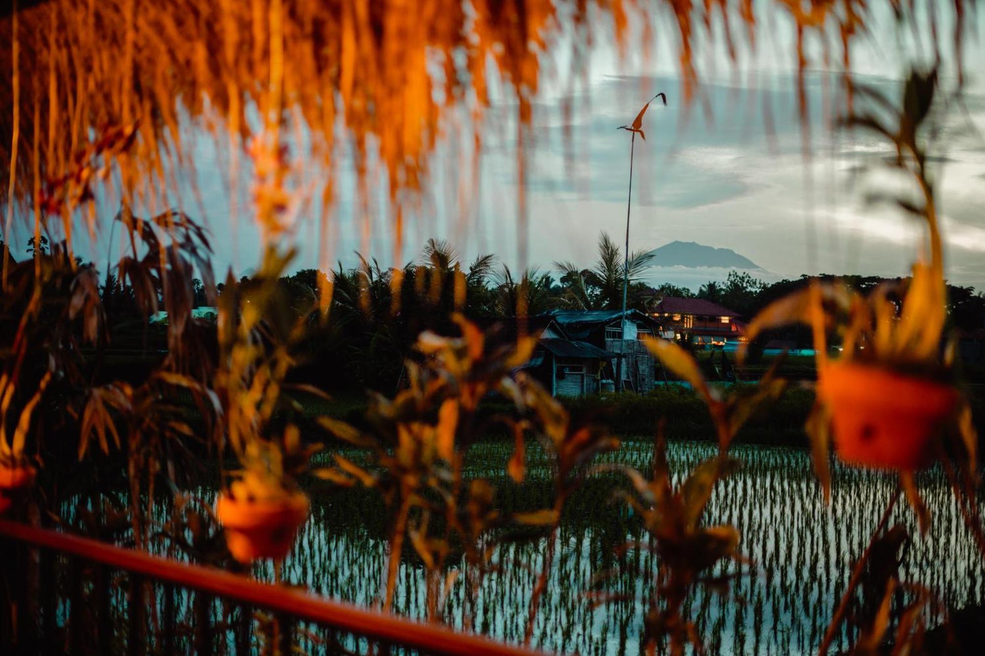 Nila Chandra Bungalows Ubud Esterno foto