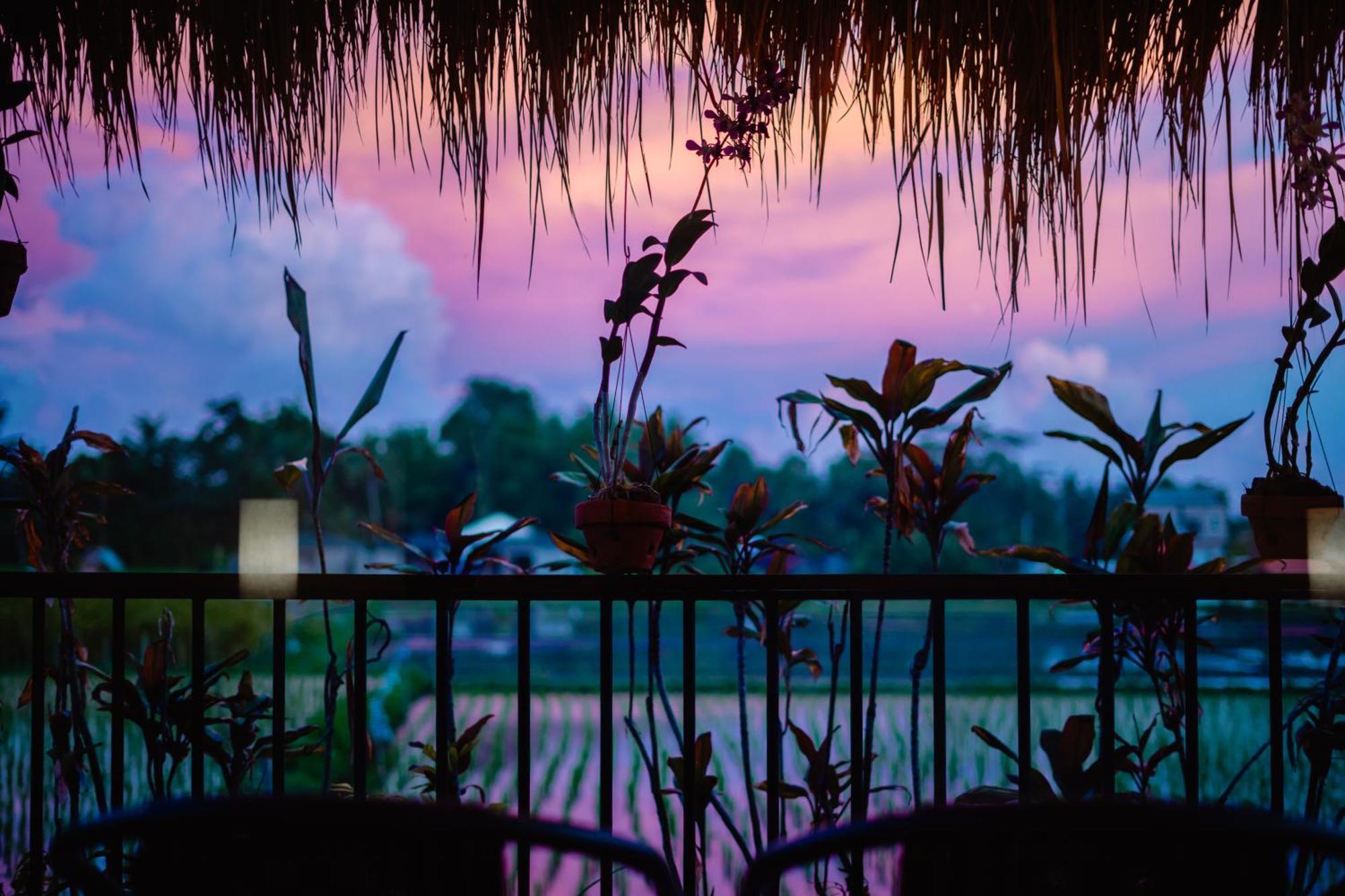 Nila Chandra Bungalows Ubud Esterno foto